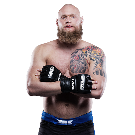 fighter