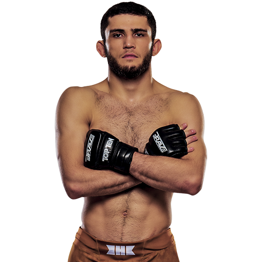 fighter